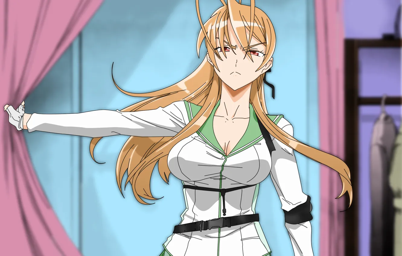 Photo wallpaper look, pose, anime, Ray Miyamoto, School Of The Dead, Highschool of the Dead, The series, …