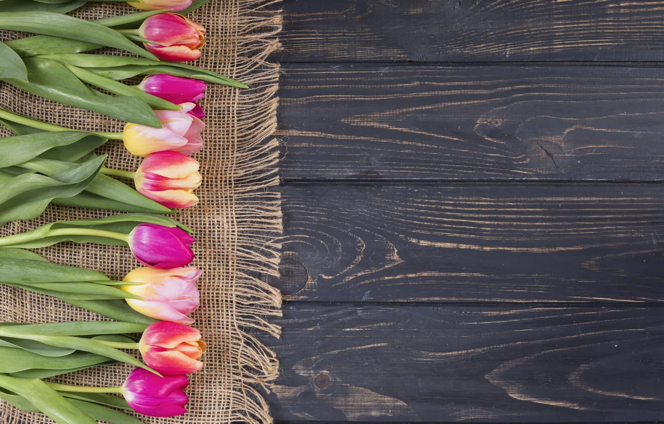 Photo wallpaper flowers, colorful, tulips, pink, wood, pink, flowers, tulips