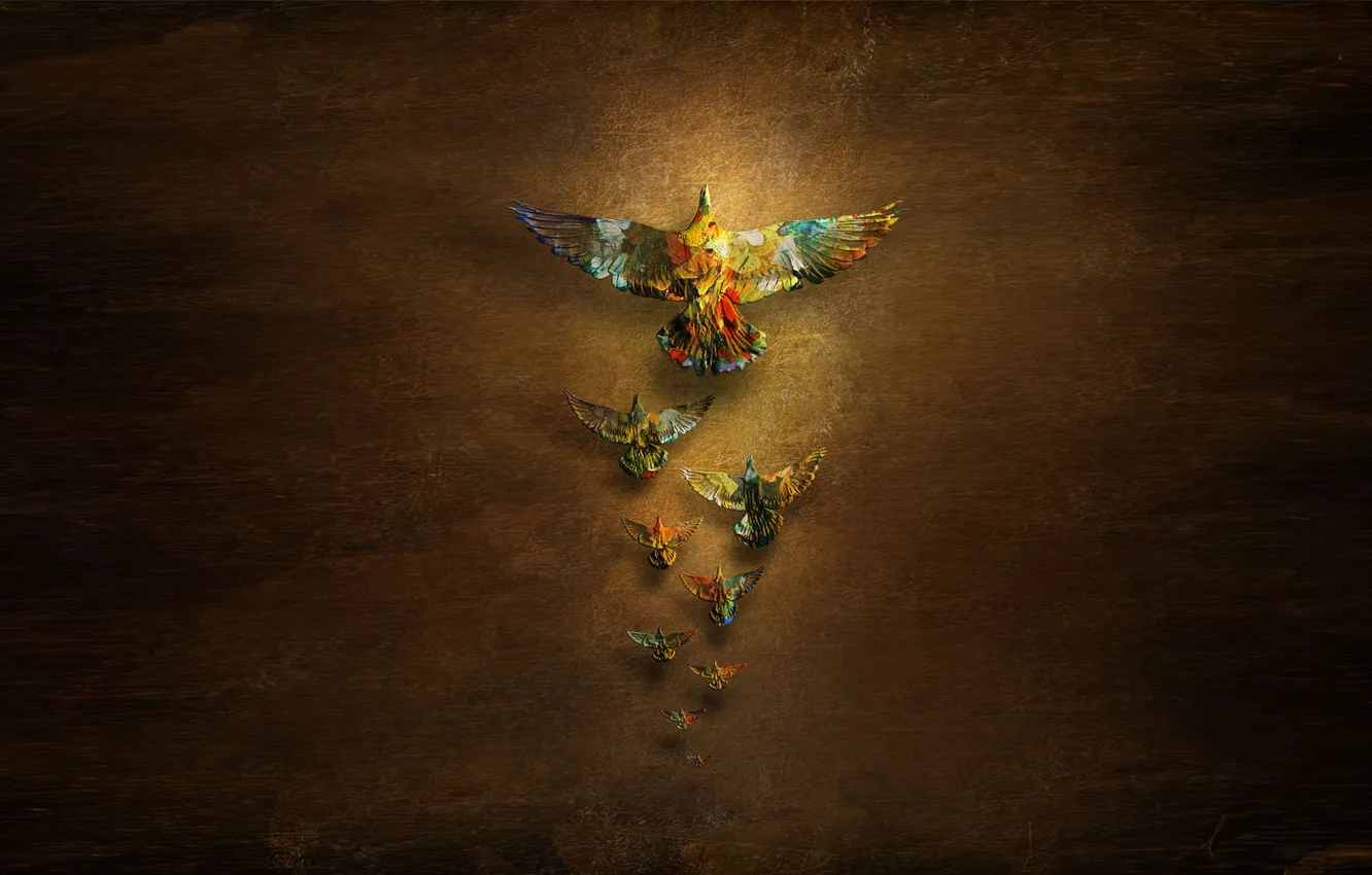 Photo wallpaper bird, minimalism, pigeons