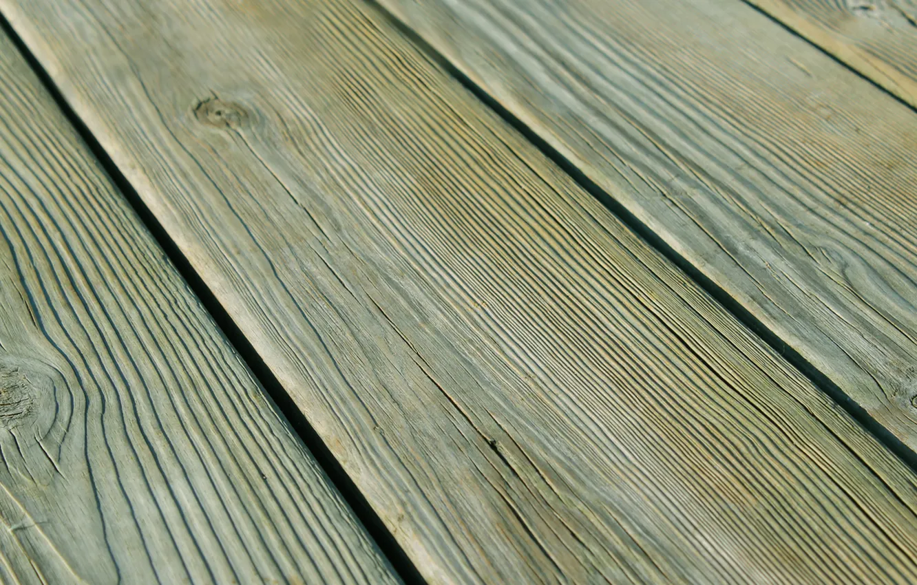 Photo wallpaper wood, pattern, floor