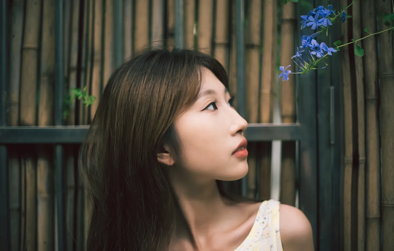 Photo wallpaper flower, woman, beautiful, model, pretty, fence, asian, close up