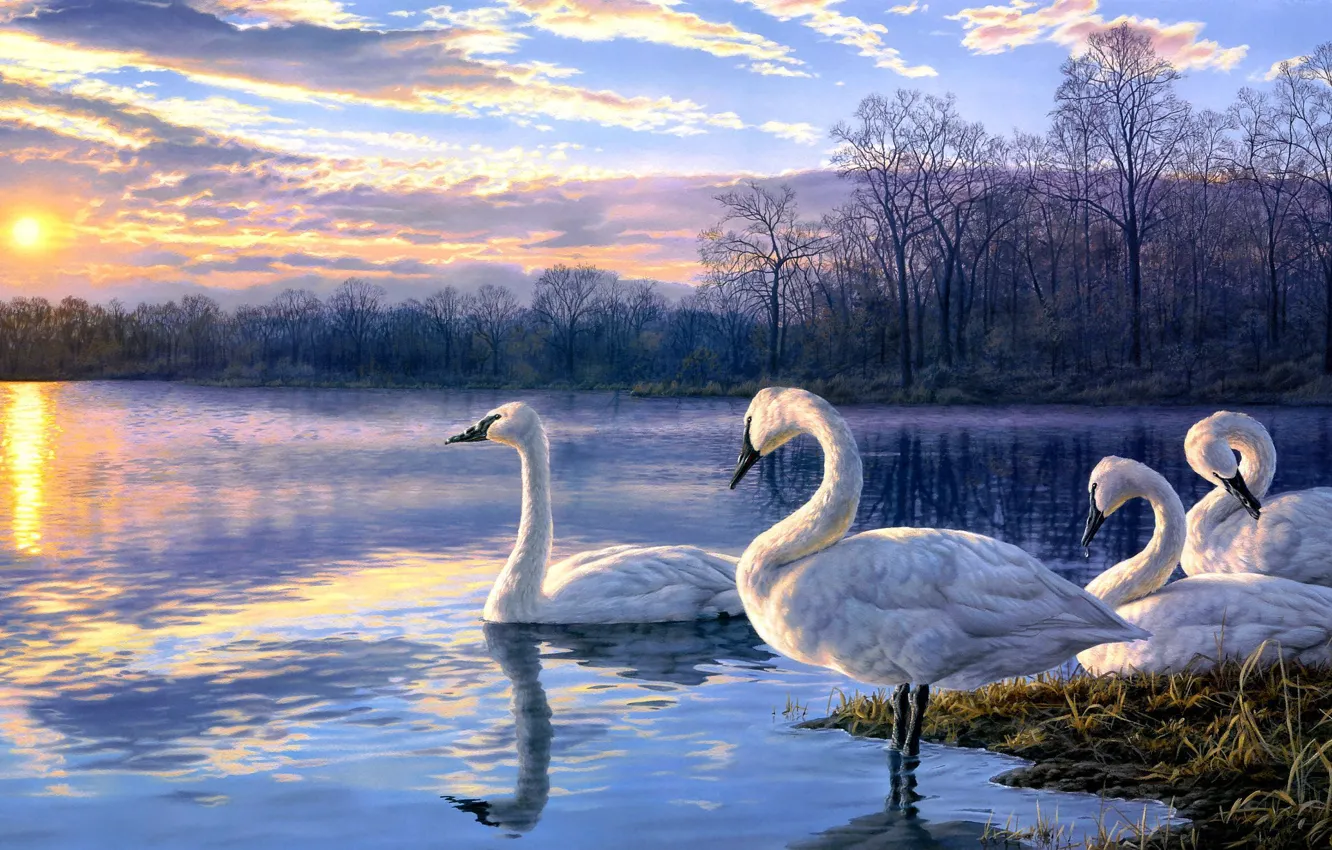 Photo wallpaper landscape, sunset, lake, art, swans, Darrell Bush