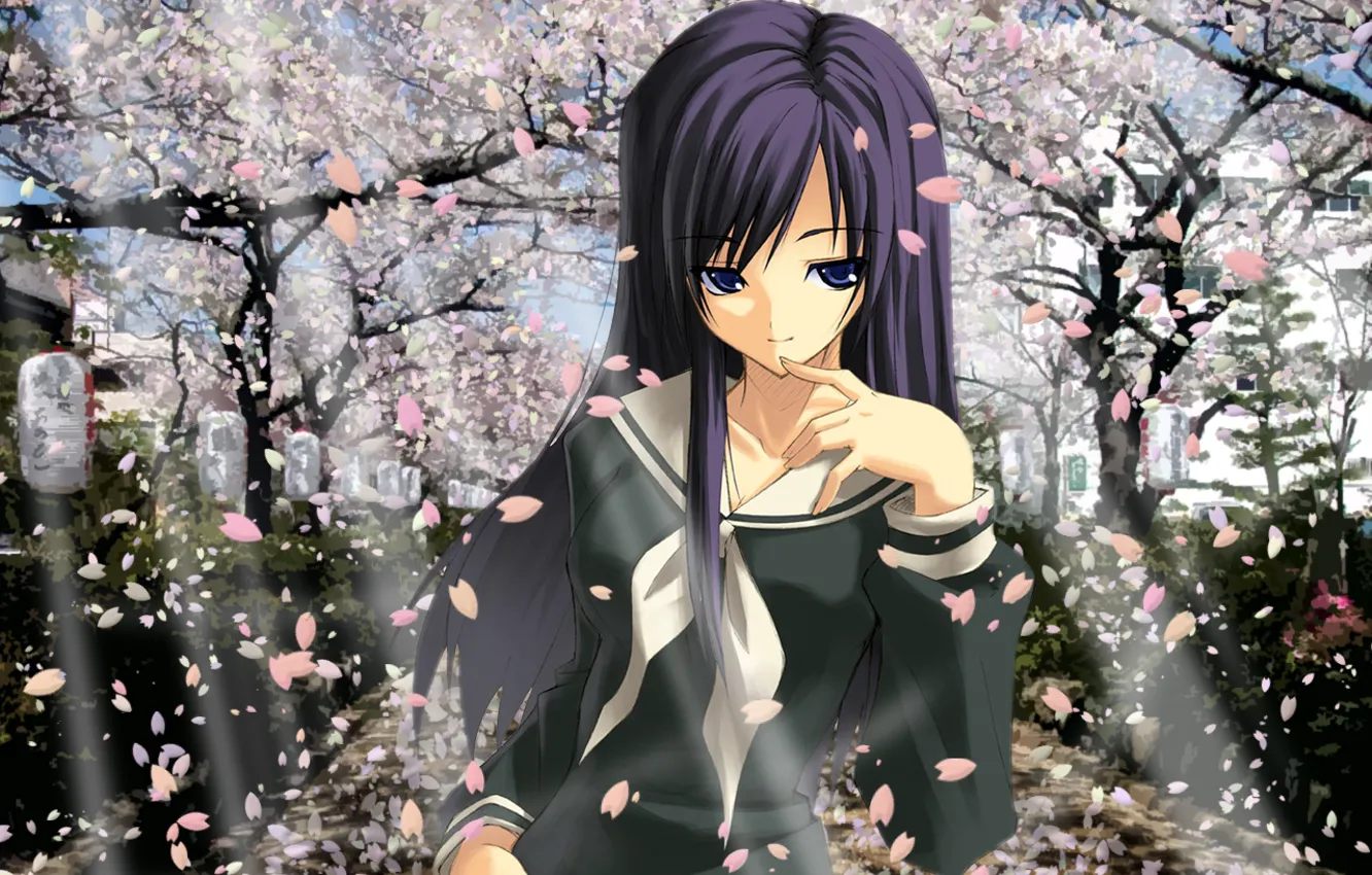 Photo wallpaper girl, Sakura, Miteru Breach