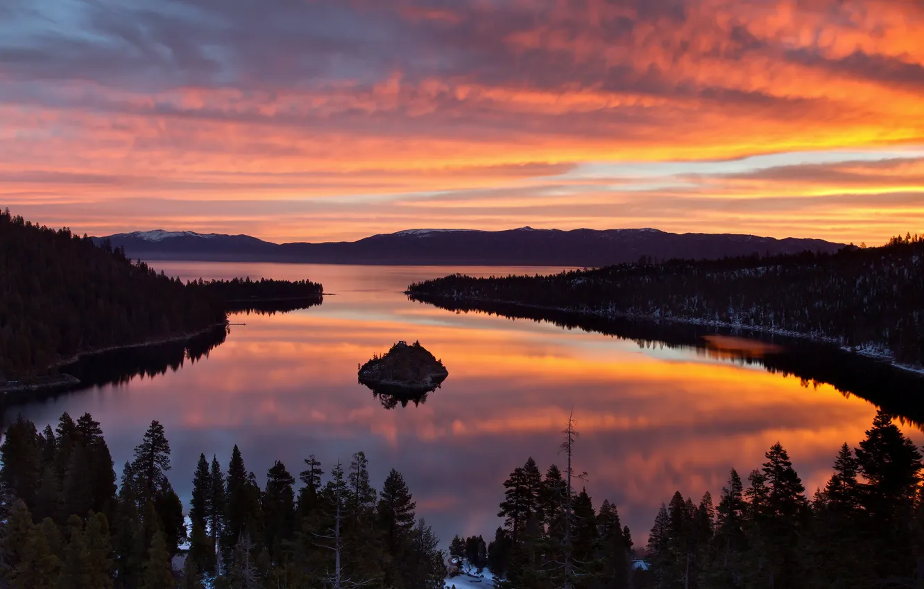Photo wallpaper forest, lake, spring, morning, CA, USA, Tahoe, March