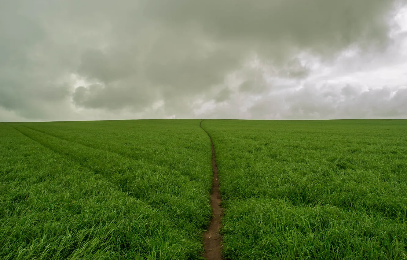 Photo wallpaper field, clouds, green, green, storm, storm, field, clouds