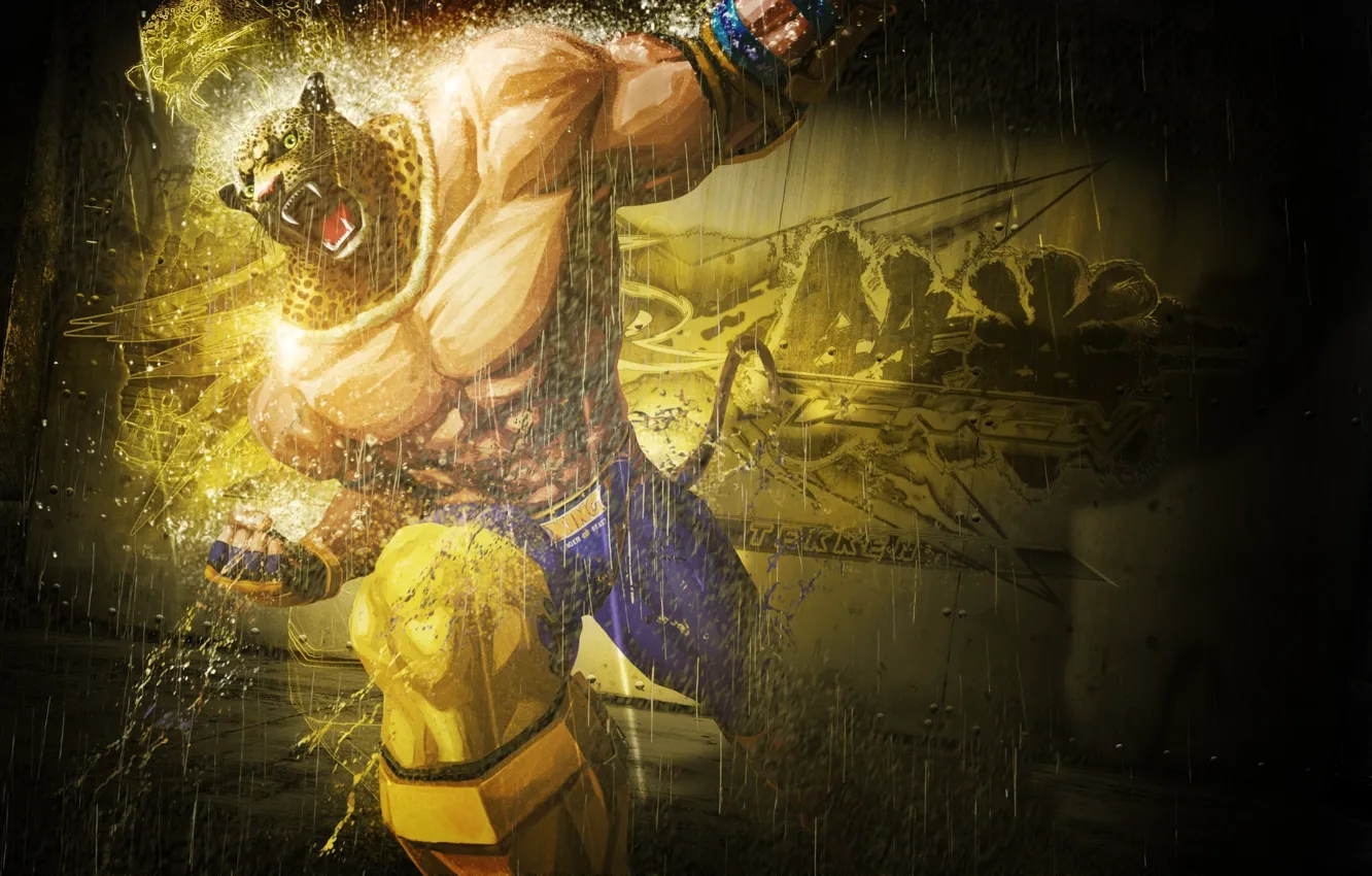 Photo wallpaper king, tekken, King