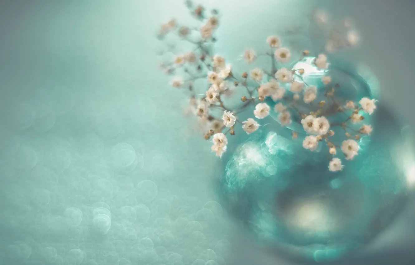Photo wallpaper flowers, vase, bokeh