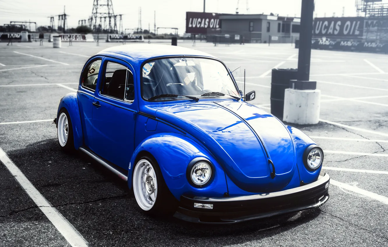 Photo wallpaper beetle, blue, front, Volkswagen, Volkswagen Beetle