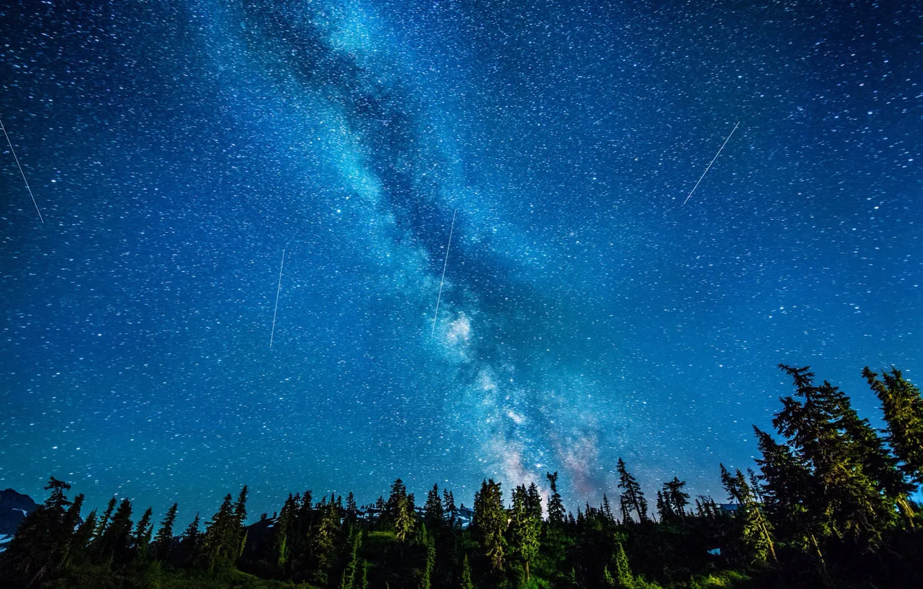 Photo wallpaper forest, trees, landscape, night, nature, glow, horizon, forest