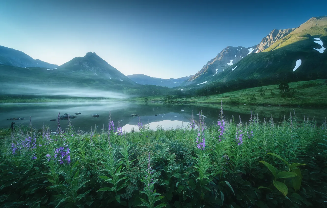 Photo wallpaper grass, landscape, flowers, mountains, nature, fog, lake, the volcano