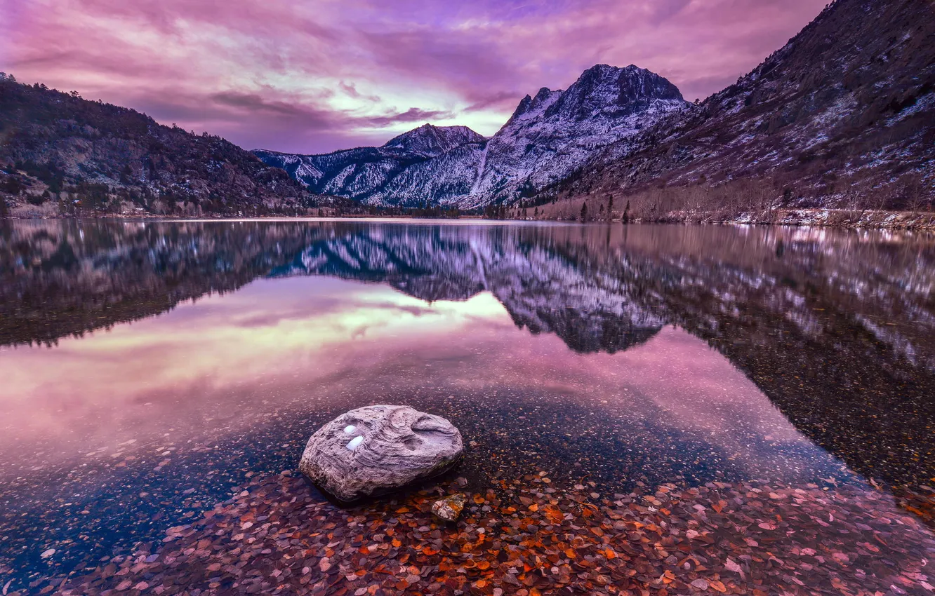 Photo wallpaper winter, forest, water, snow, mountains, transparent, lake, reflection