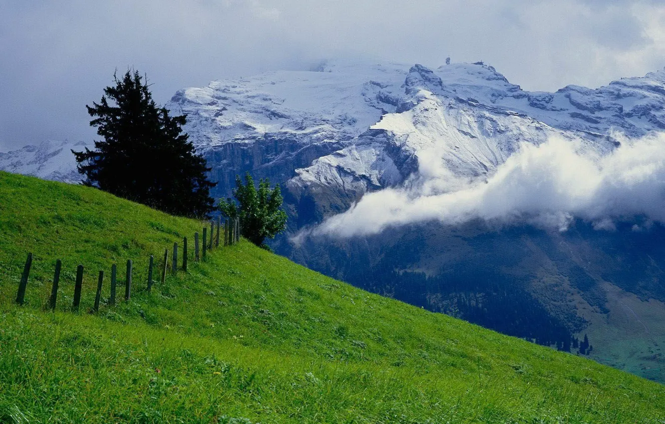Photo wallpaper greens, the sky, mountains, meadow