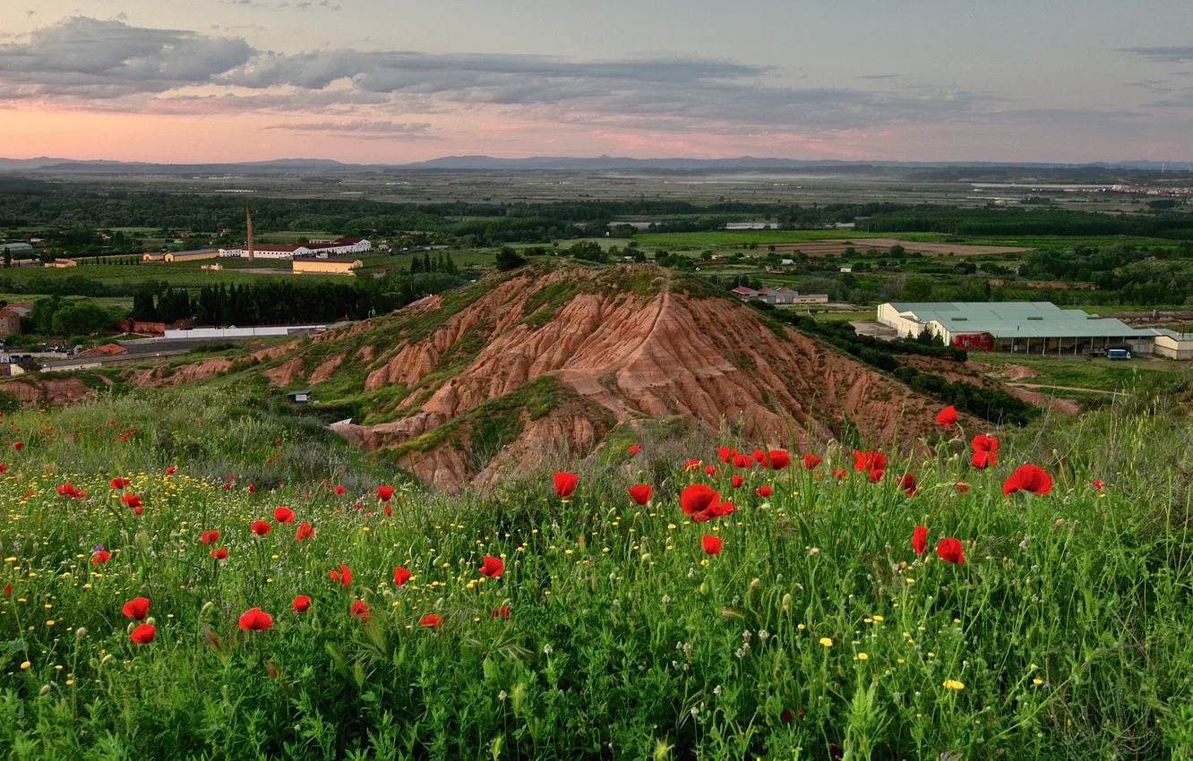 Photo wallpaper field, hills, Maki