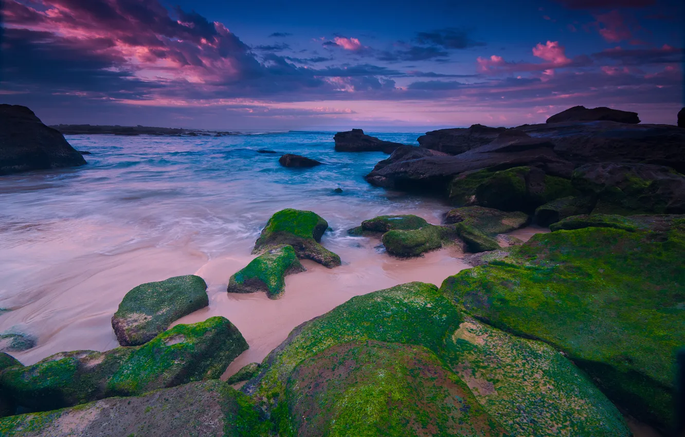Photo wallpaper sea, the sky, clouds, stones, rocks, the evening