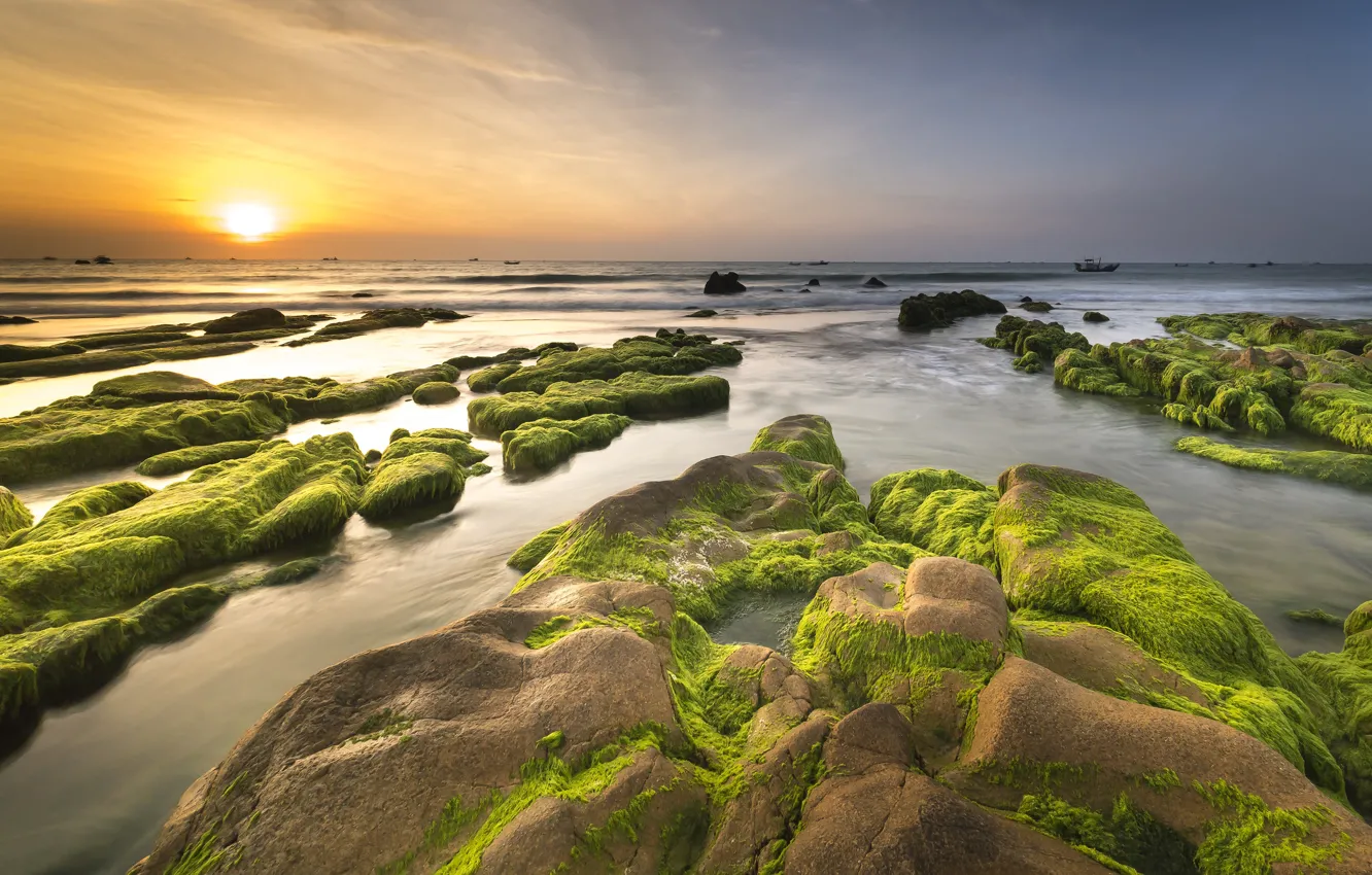 Photo wallpaper sea, the sky, the sun, algae, landscape, sunset, nature, stones