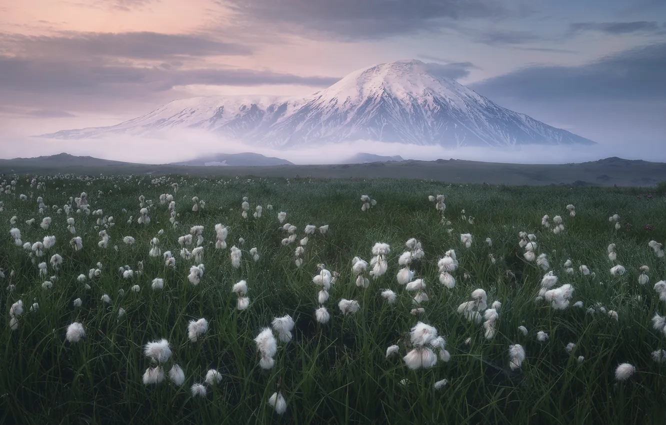 Photo wallpaper grass, clouds, snow, landscape, nature, the volcano, meadow, Kamchatka