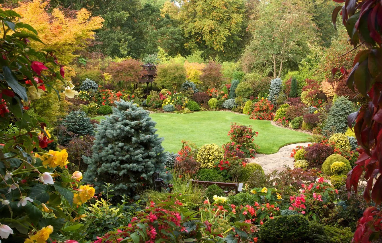 Photo wallpaper trees, flowers, nature, Park, plants, garden, track, shop