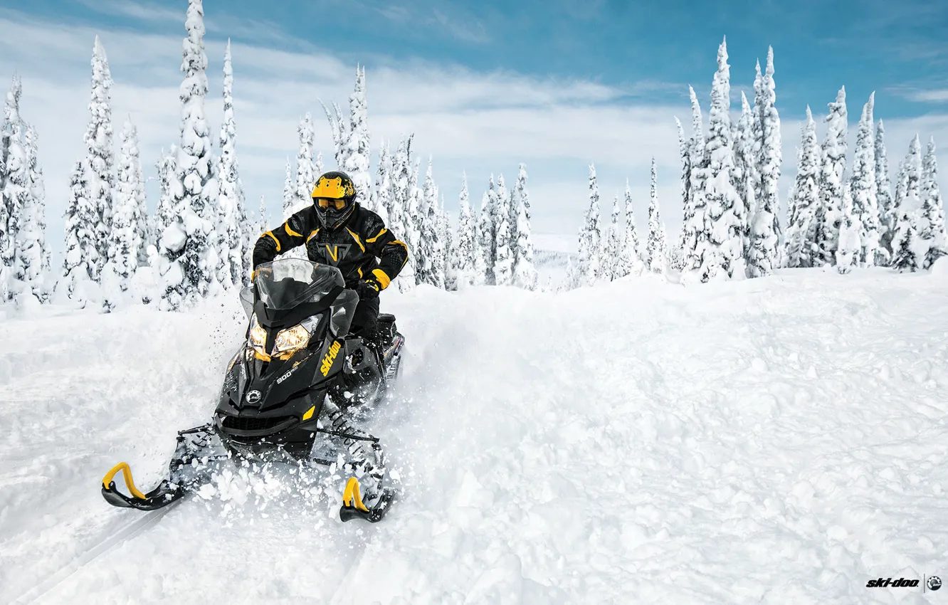 Photo wallpaper Snow, Snow, Forest, Forest, Snowmobile, Skidoo, Snowmobile, Ski-Doo