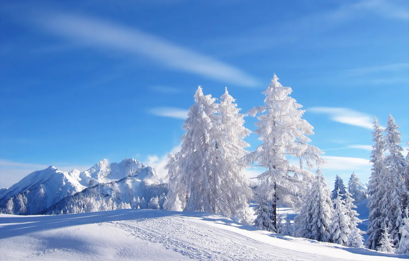 Photo wallpaper winter, the sky, snow, mountains, tree