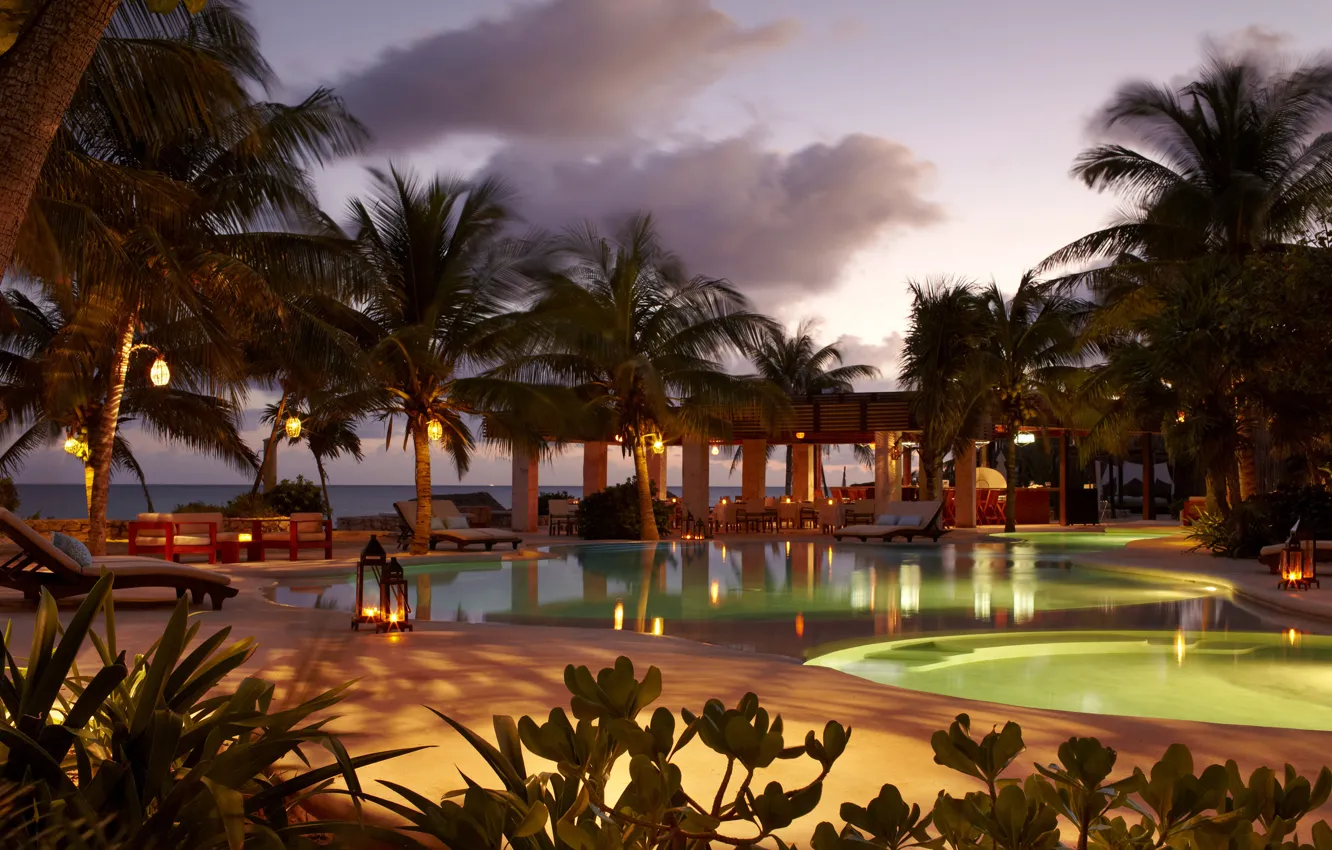 Photo wallpaper palm trees, the ocean, the evening, pool