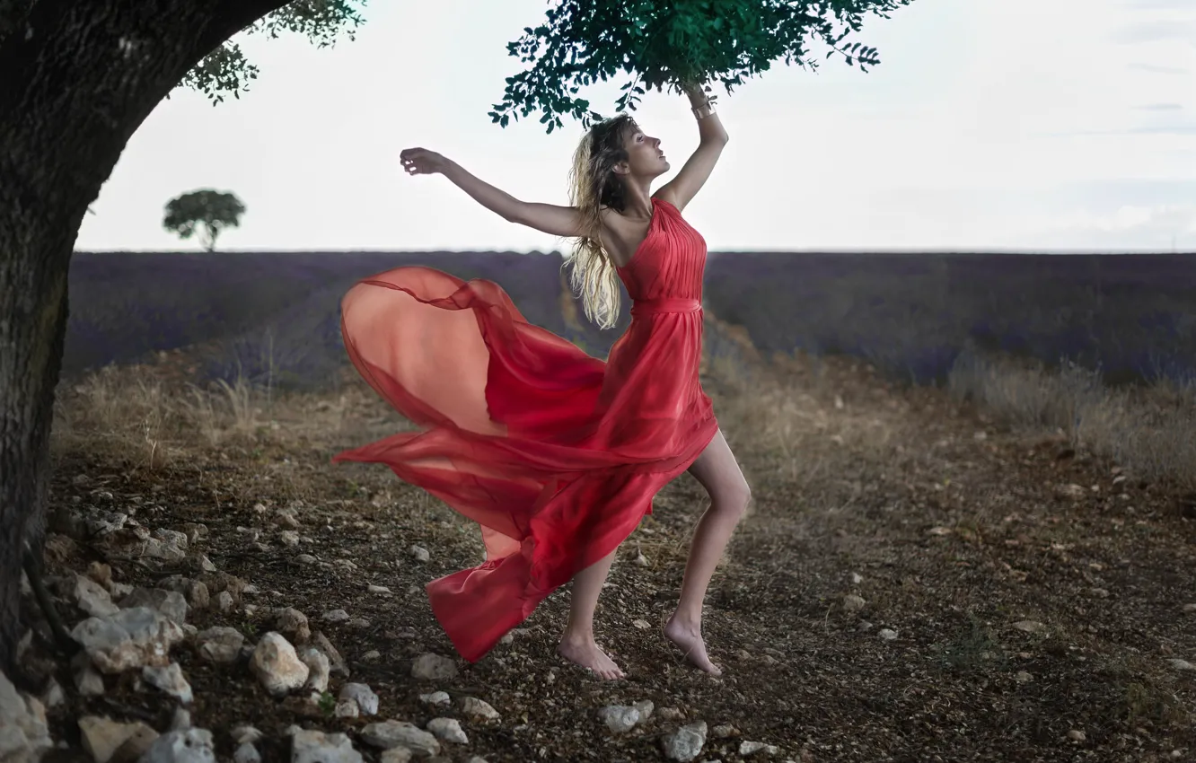 Photo wallpaper field, trees, pose, mood, model, red dress, lavender, Veronika Castrillo