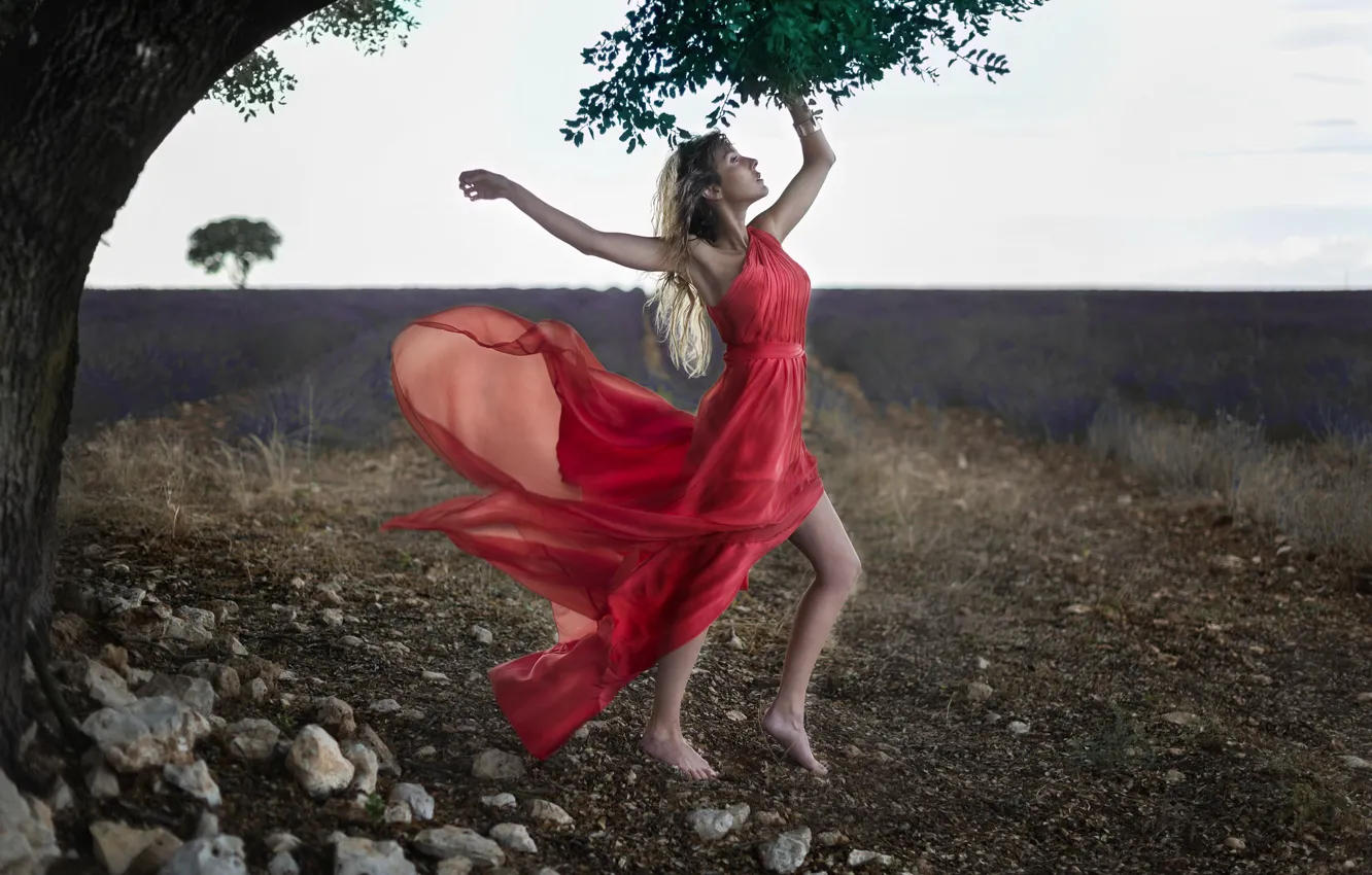 Photo wallpaper field, pose, tree, mood, model, red dress, lavender, Veronika Castrillo