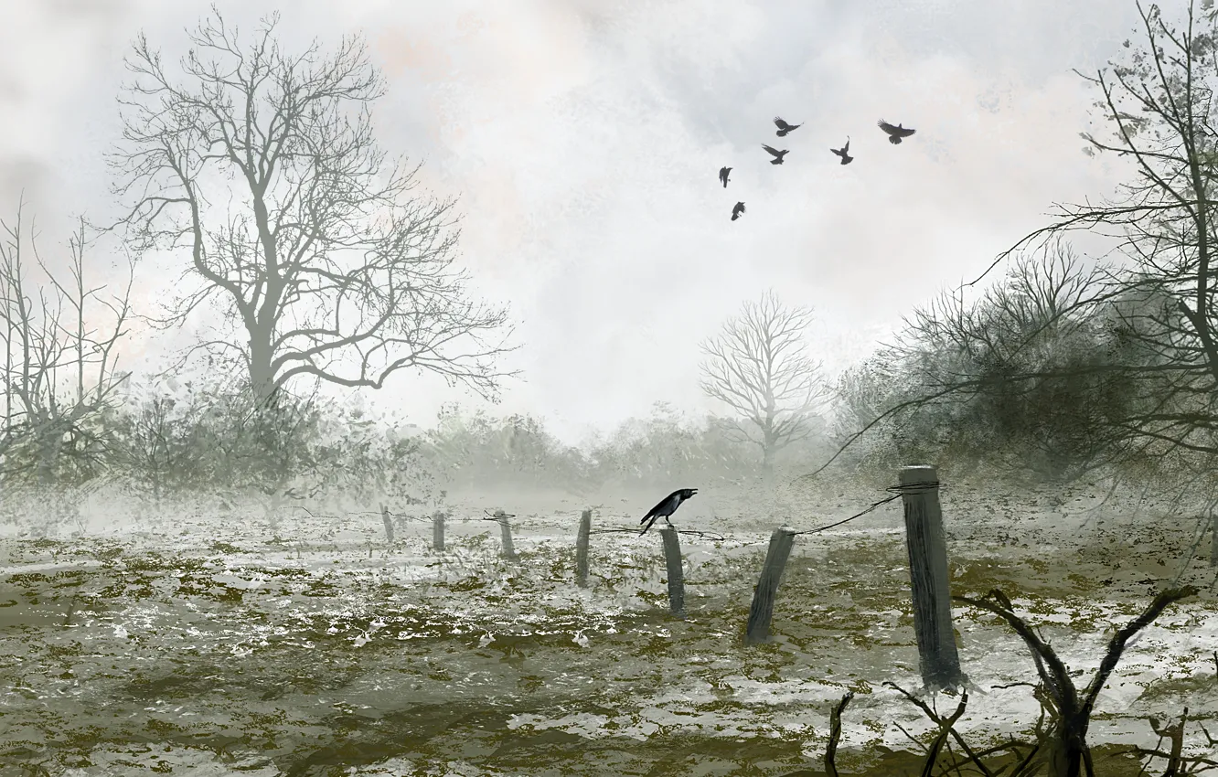 Photo wallpaper winter, snow, nature, bird, art