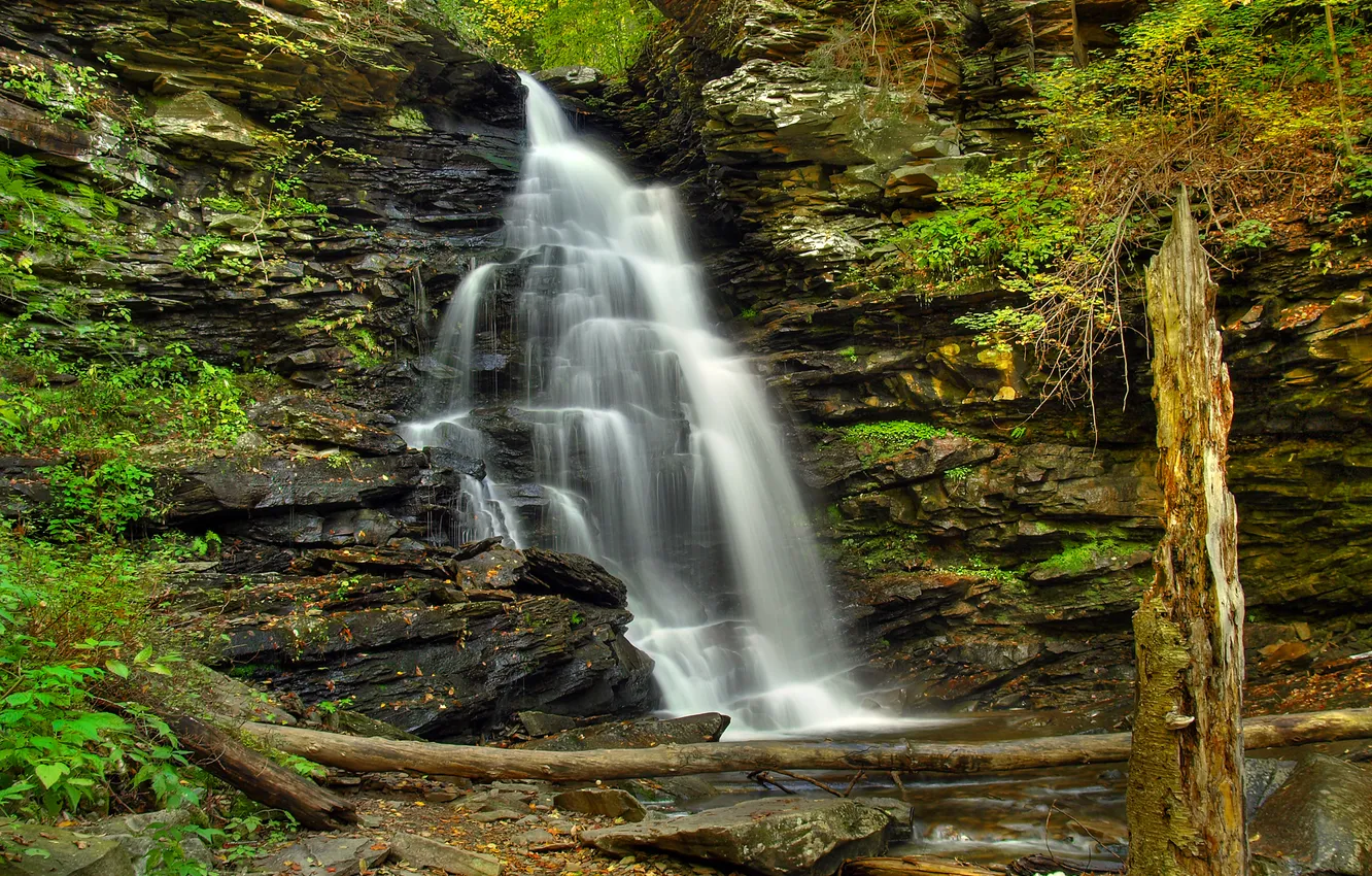 Photo wallpaper forest, trees, stones, rocks, waterfall, stream