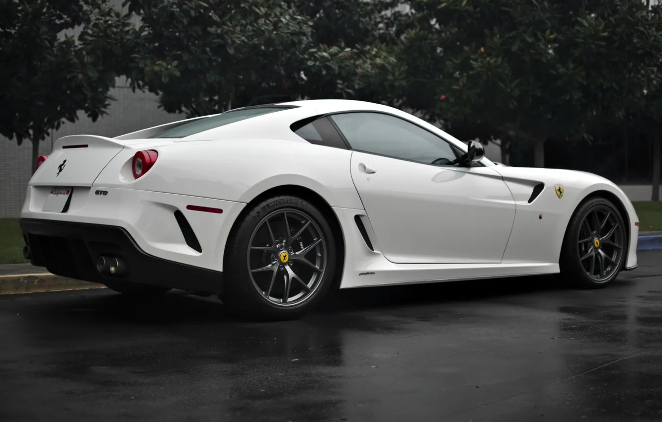 Photo wallpaper white, trees, Ferrari, white, Ferrari, 599, tree, gto