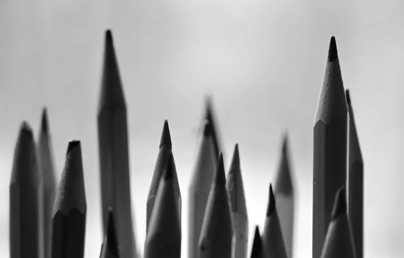 Photo wallpaper pencils, 2025