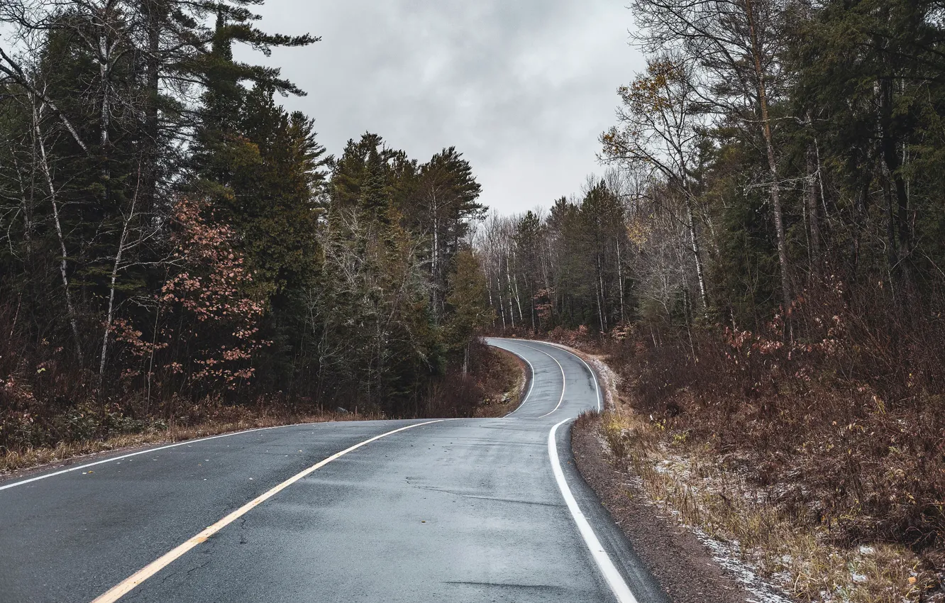 Photo wallpaper road, autumn, forest