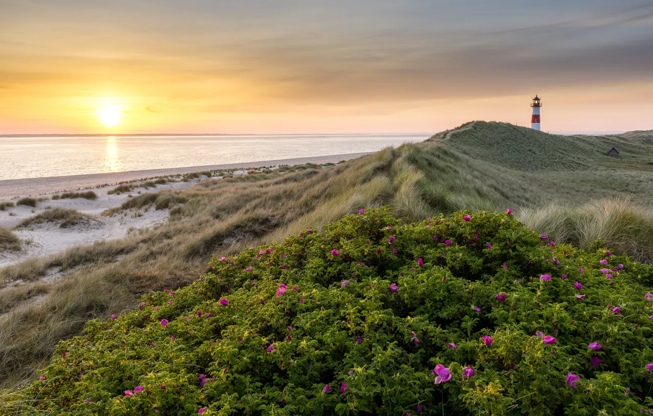 Photo wallpaper sea, beach, summer, flowers, sunrise, lighthouse, morning
