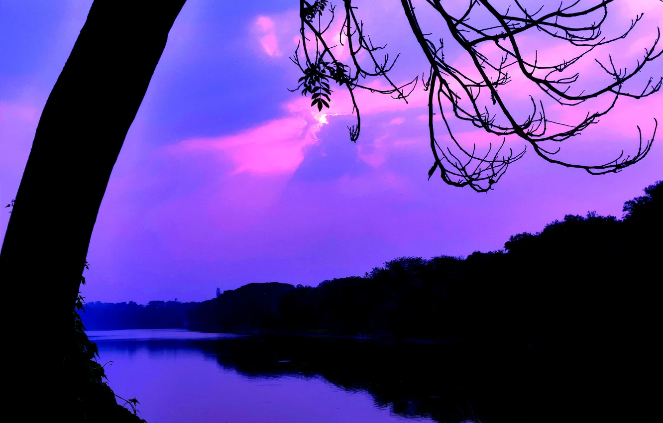 Photo wallpaper trees, water, lake, morning, sun, sunrise, dawn, woods