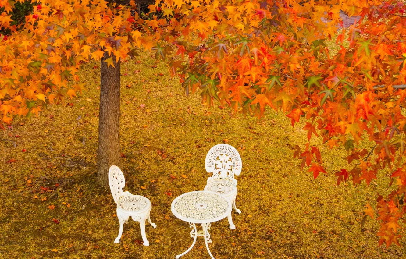 Photo wallpaper autumn, leaves, trees, Park, table, chairs, Japan