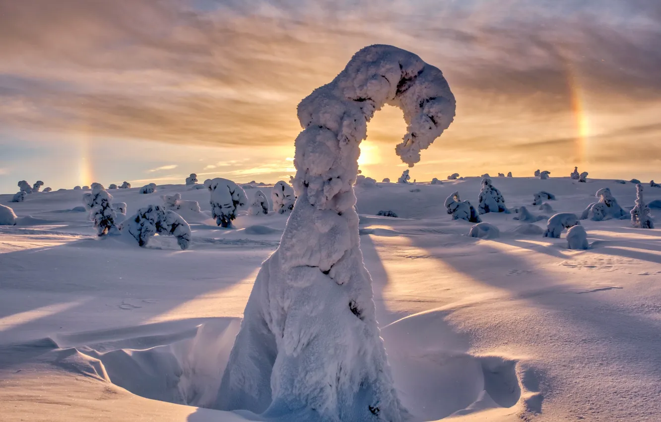 Photo wallpaper winter, the sun, snow, trees, landscape, nature, shadow, halo