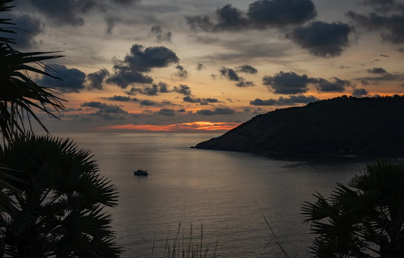 Photo wallpaper sea, summer, the sun, clouds, sunset, palm trees, Thailand, Phuket