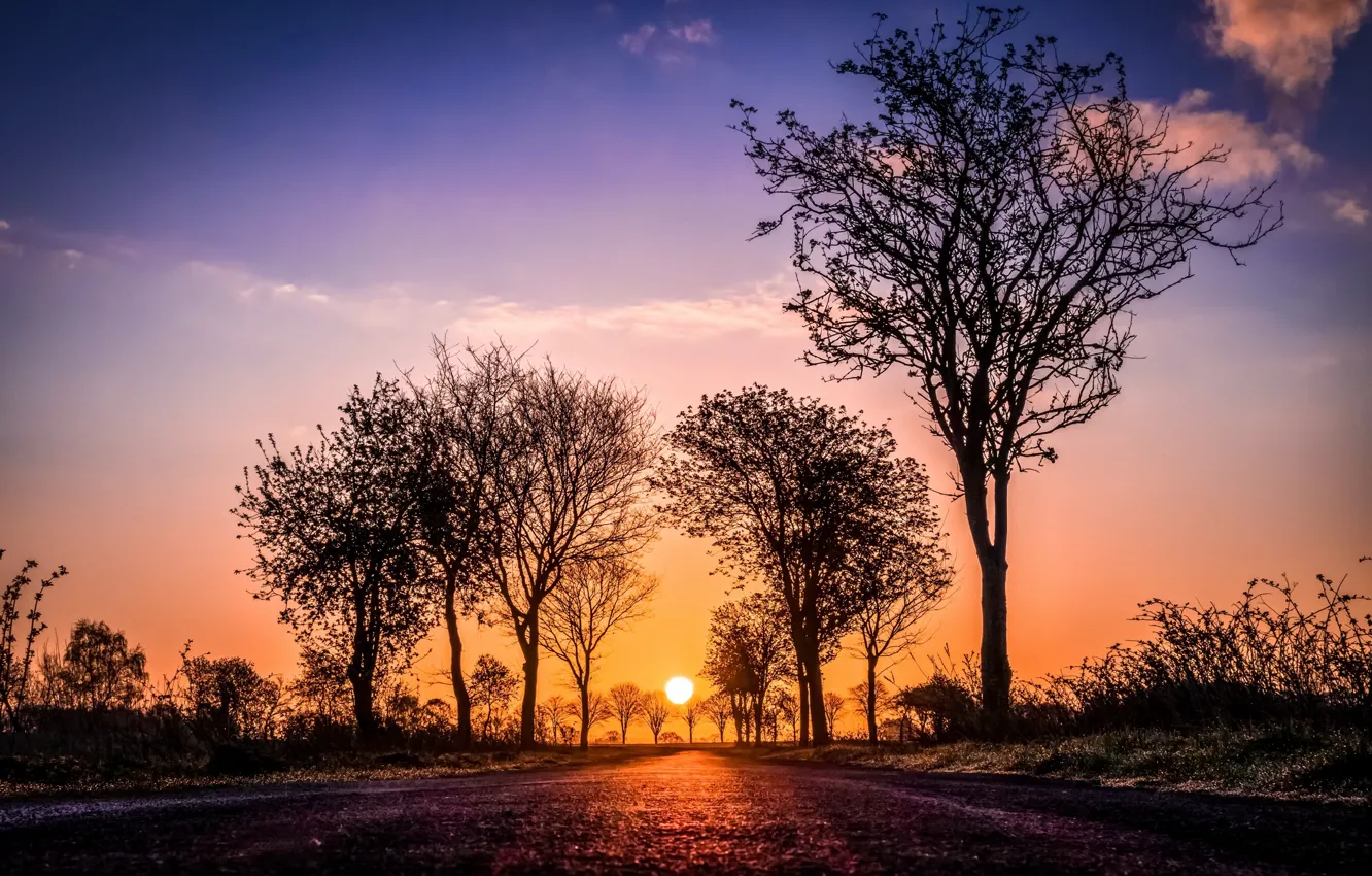 Photo wallpaper road, trees, sunset
