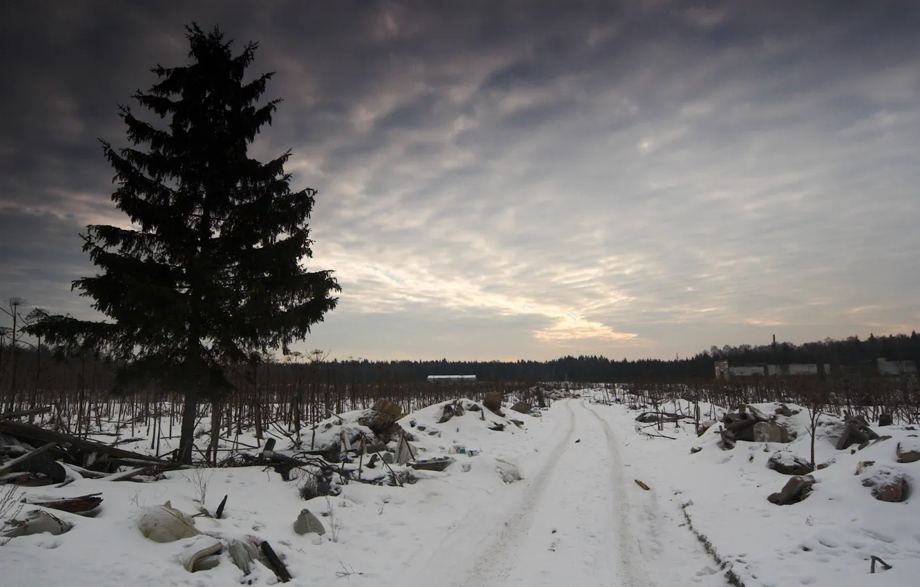 Photo wallpaper winter, road, sadness, the sky, trees, garbage