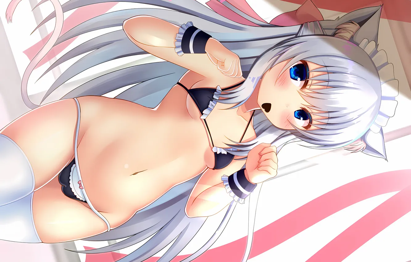 Photo wallpaper girl, sexy, Cameltoe, cleavage, thighhighs, long hair, boobs, animal ears