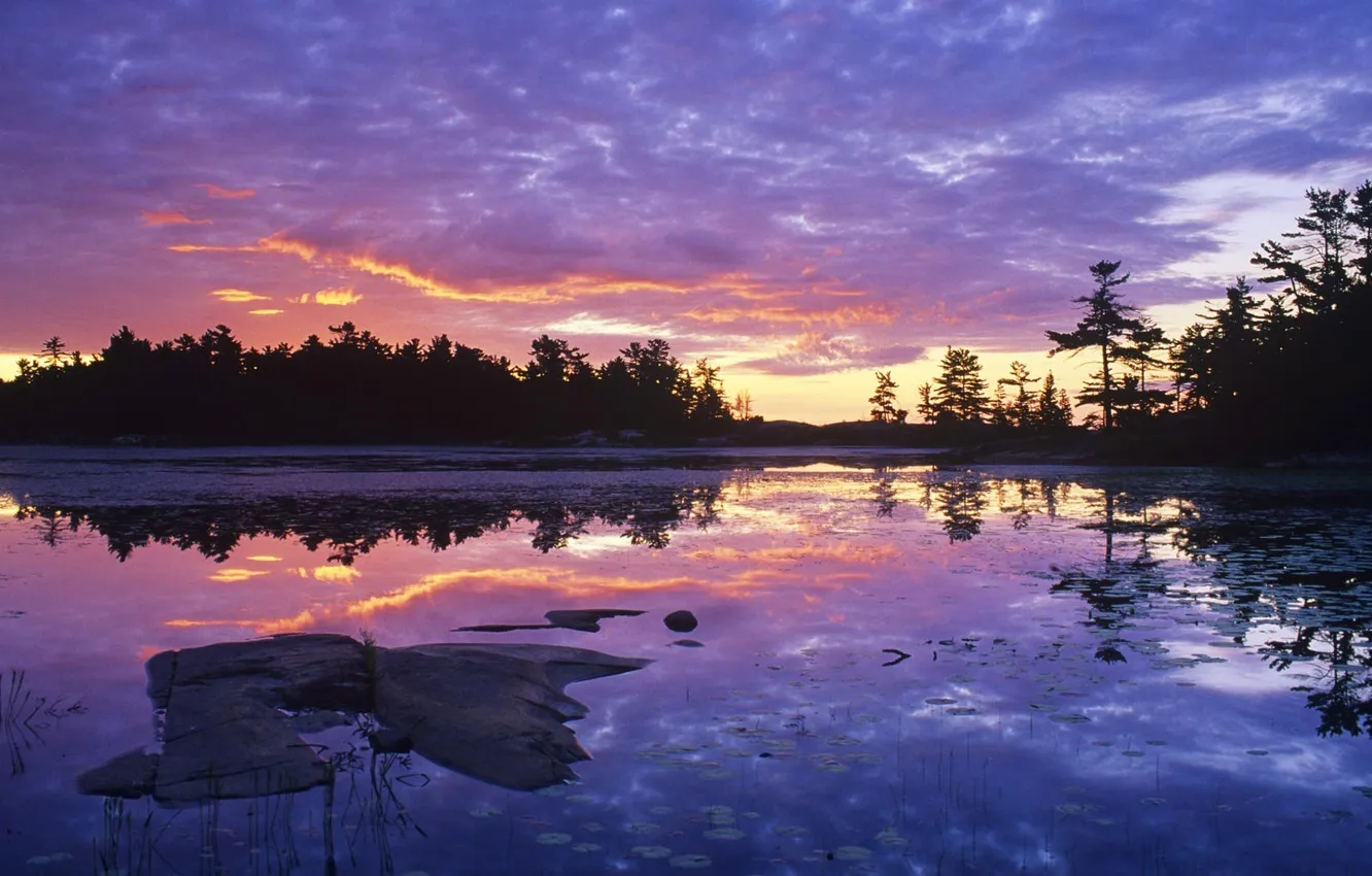 Photo wallpaper forest, sunset, lake, reflection, Nature