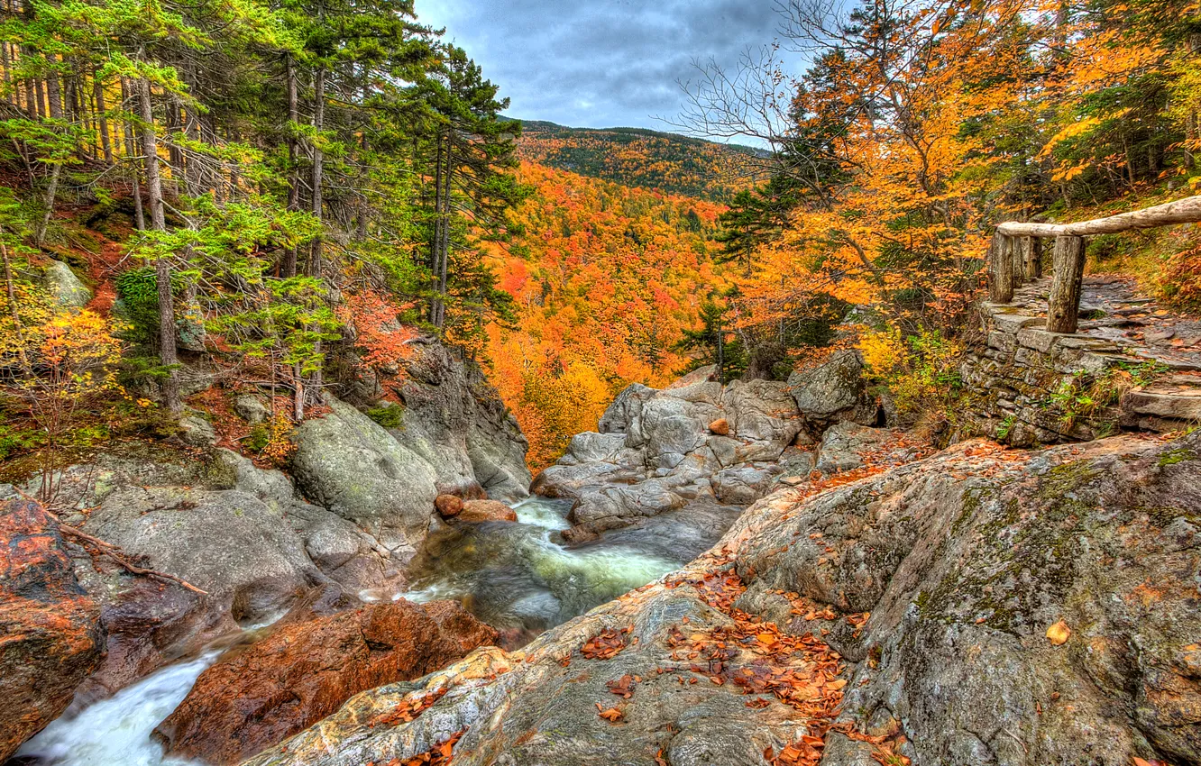 Photo wallpaper autumn, forest, the sky, mountains, clouds, river, stones, rocks