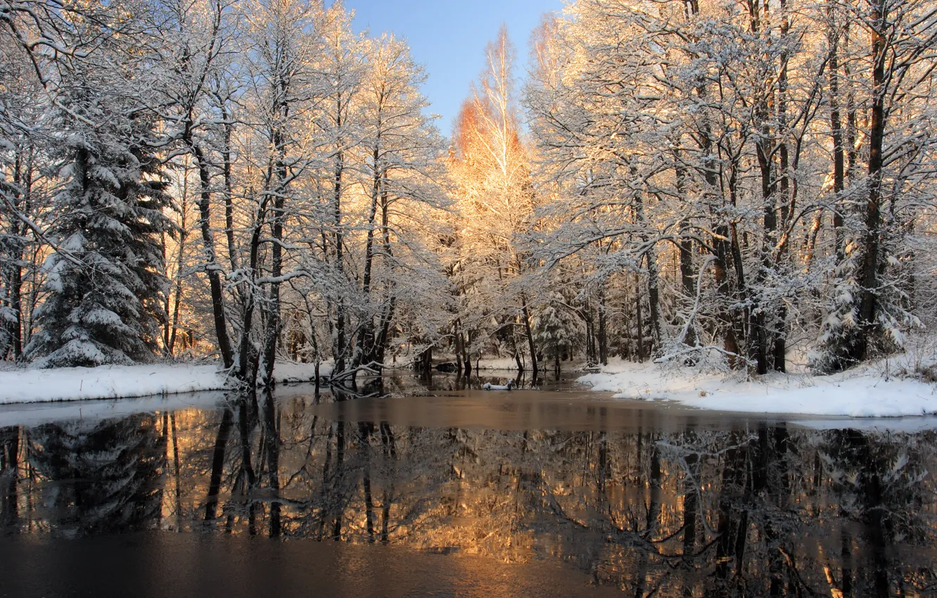 Photo wallpaper winter, water, snow, trees, nature, photo, ice