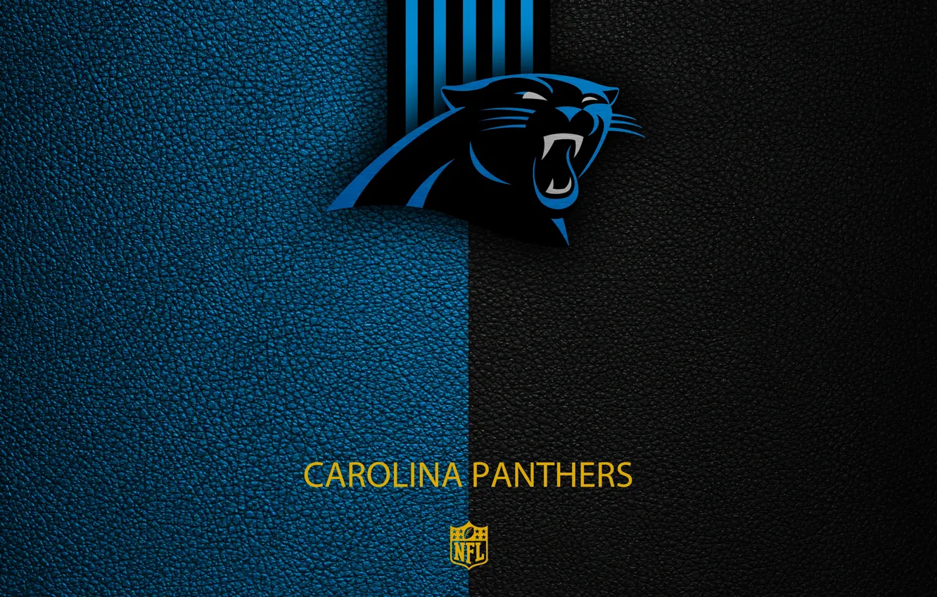 Photo wallpaper wallpaper, sport, logo, NFL, Carolina Panthers