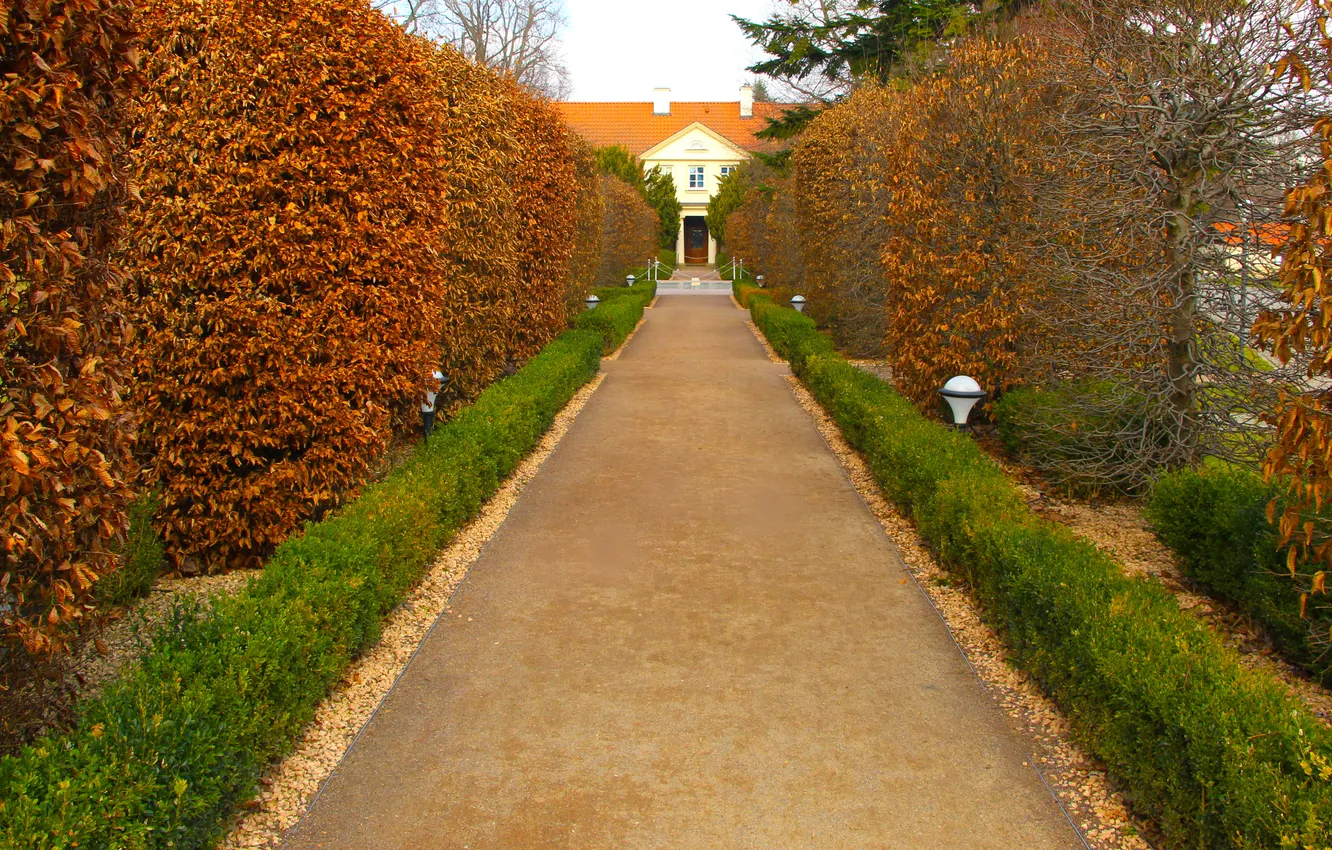 Photo wallpaper house, park, alley
