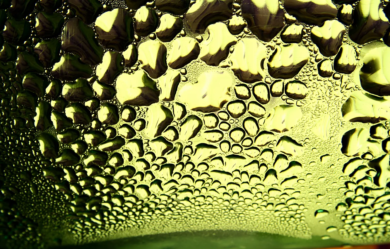 Photo wallpaper glass, water, green