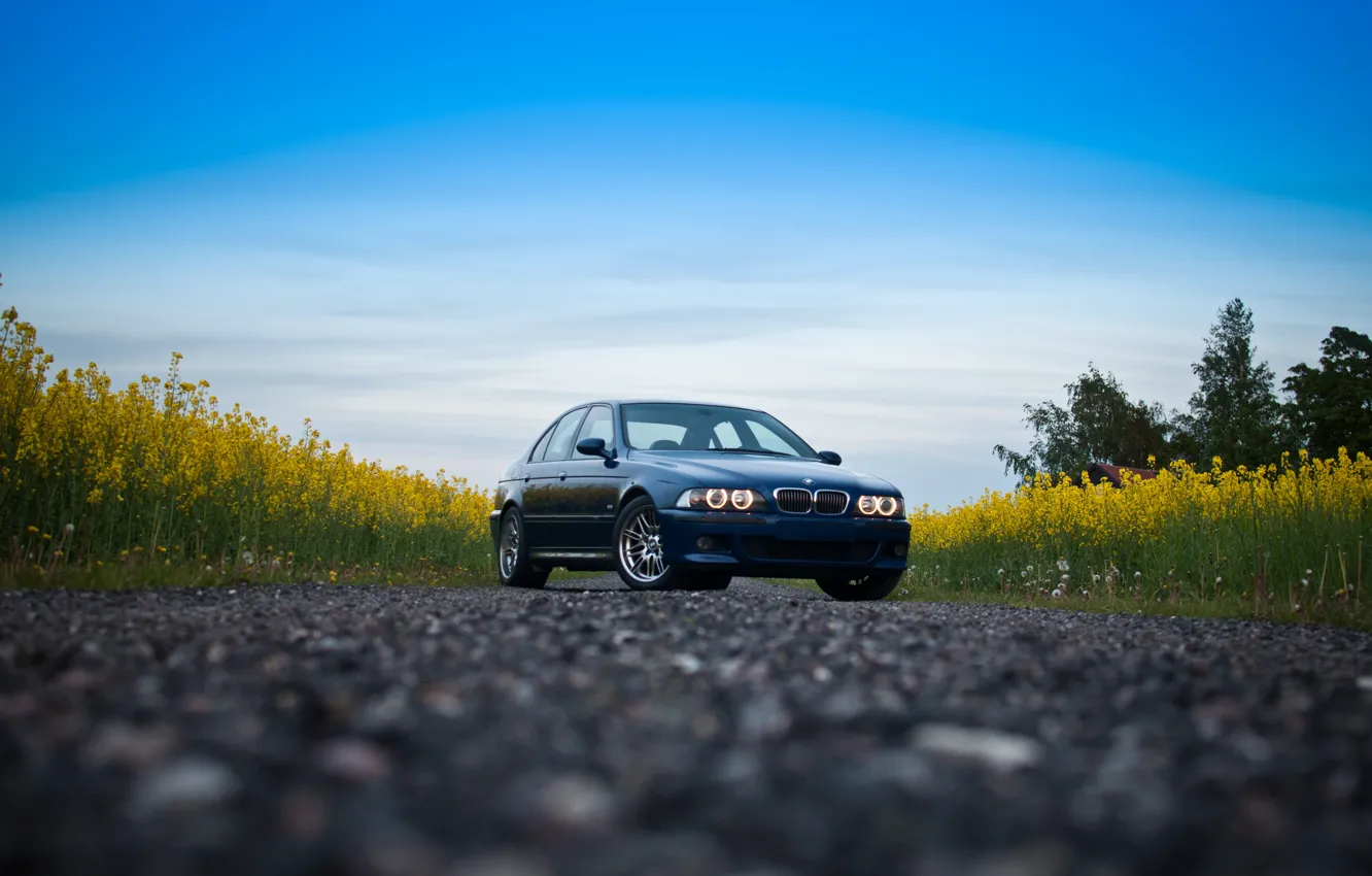 Photo wallpaper Blue, Flowers, E39, Road, M5