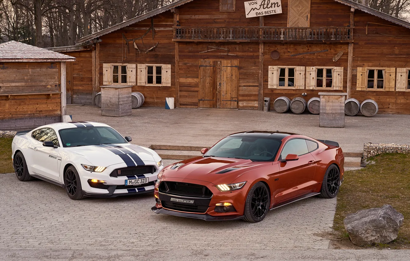 Photo wallpaper Mustang, Ford, Mustang, Ford, Geiger