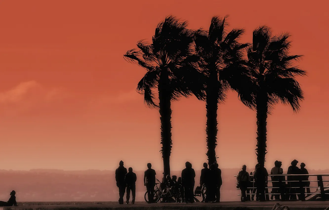 Photo wallpaper sea, palm trees, people, silhouette, Spain, Balearic Islands