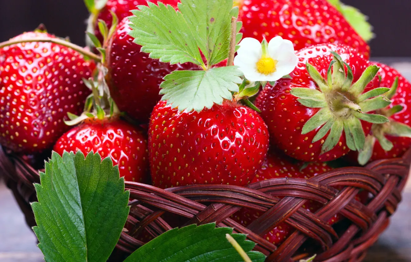 Photo wallpaper berries, strawberry, basket, fresh, strawberry, berries