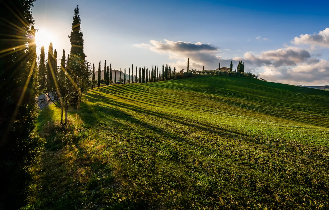 Photo wallpaper field, trees, sunset, Italy, Italy, cypress, Tuscany, Tuscany